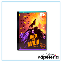 CUADERNO COSIDO CUADRICULADO CON STICKER 100 HOJAS SCRIBE LINK HOMBRE