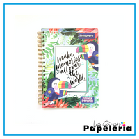 CUADERNO 7 MATERIAS TD PEQUEÑO MUJER (MASTER SCRIBE/PRIMAVERA)