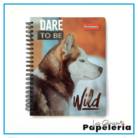 CUADERNO 5 MATERIAS TD GRANDE MUJER (MASTER SCRIBE/PRIMAVERA)