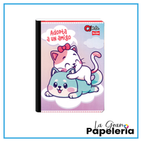 CUADERNO COSIDO FERROCARRIL MUJER 50H ECO Q´NOTA SCRIBE
