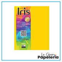 HOJA IRIS UNICOLOR CARTA X 20
