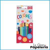 COLORES SCRIBE QNOTA X 12