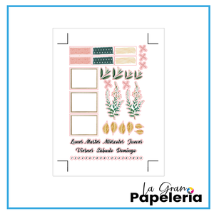 PACK STICKER X 7 UND